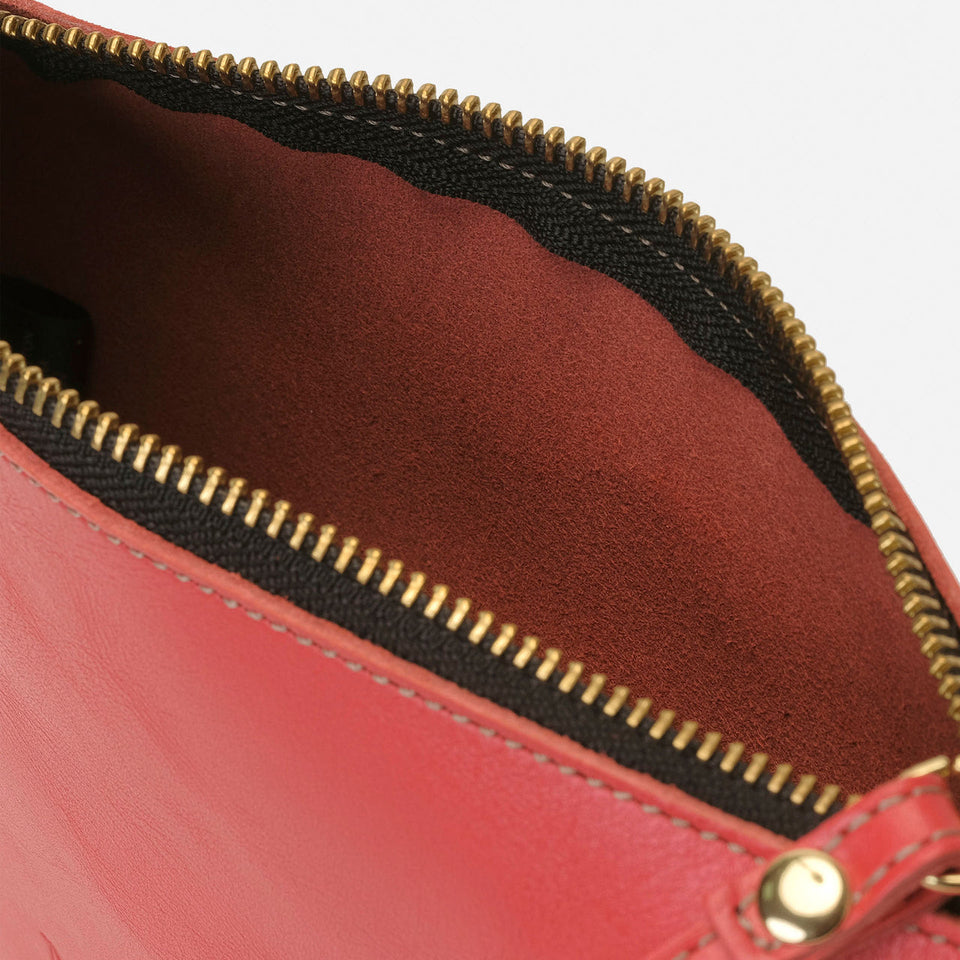 Zipper coral